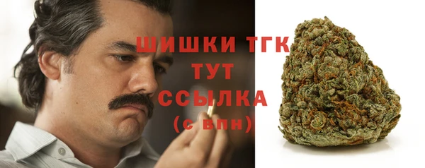 шишки Покачи