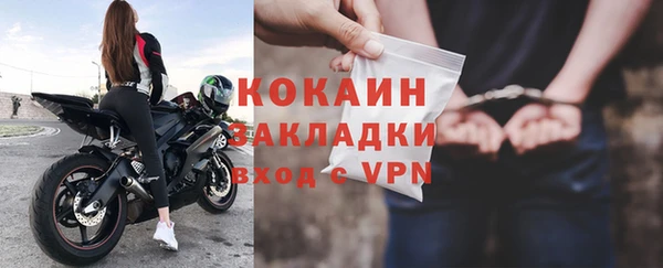 шишки Покачи