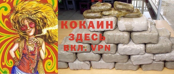 твердый Абаза