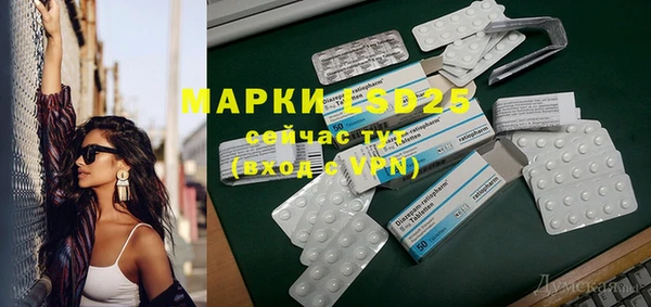 шишки Покачи