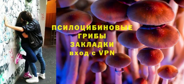 твердый Абаза