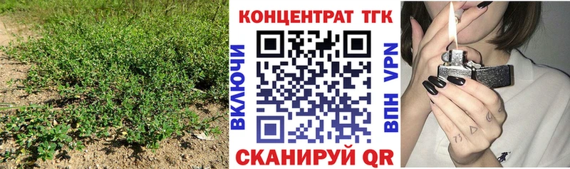 продажа наркотиков Зея ссылка на мегу ONION Дистиллят ТГК вейп
