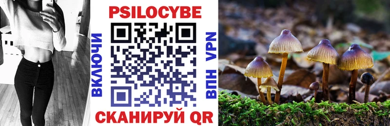 Псилоцибиновые грибы ЛСД  Зея 