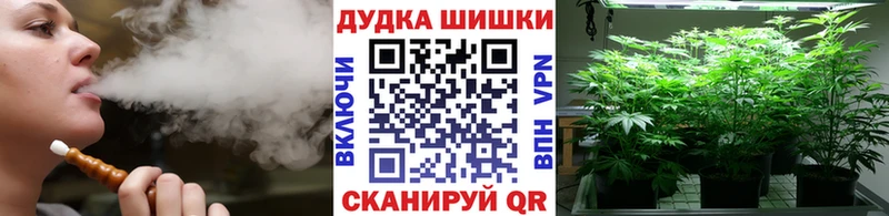 Бошки марихуана сатива Зея